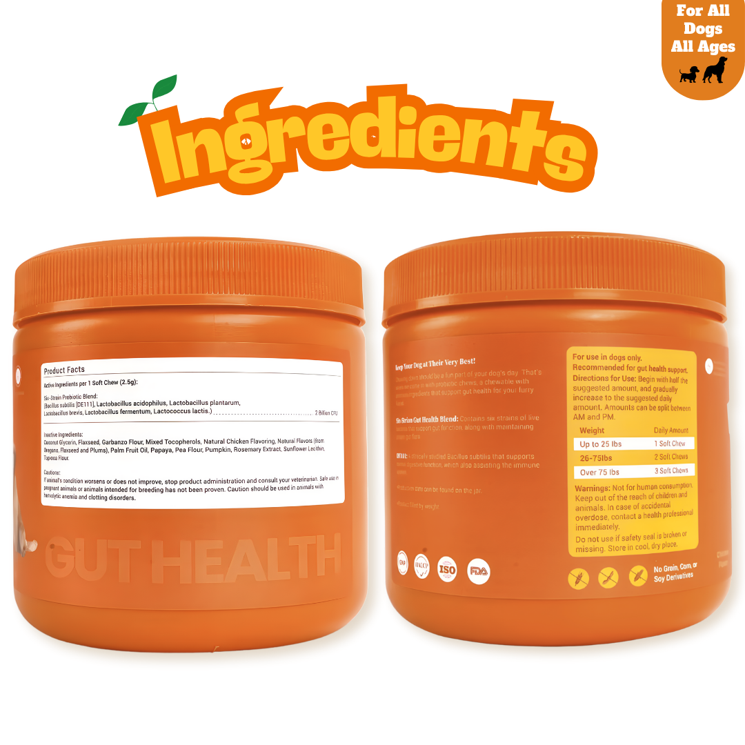 Probiotic Gut + Immunity Chewy Bites