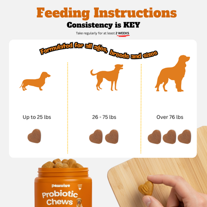 Probiotic Gut + Immunity Chewy Bites