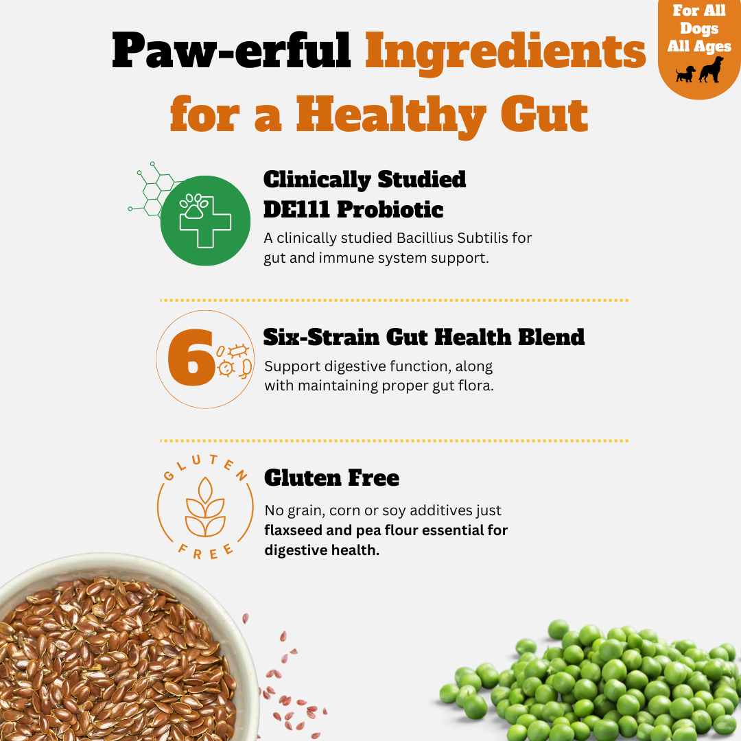 Probiotic Gut + Immunity Chewy Bites