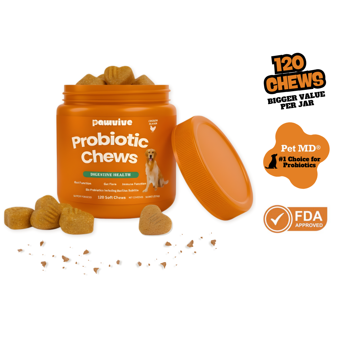 Probiotic Gut + Immunity Chewy Bites