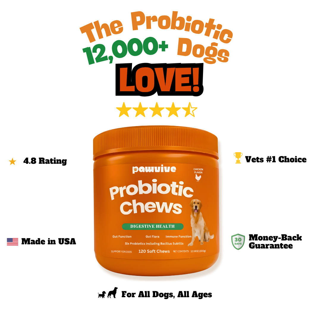 Probiotic Gut + Immunity Chewy Bites
