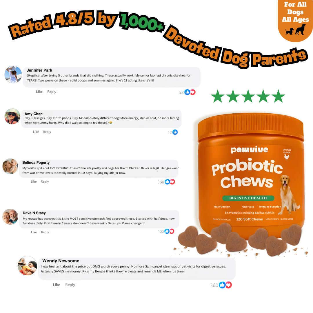 Probiotic Gut + Immunity Chewy Bites