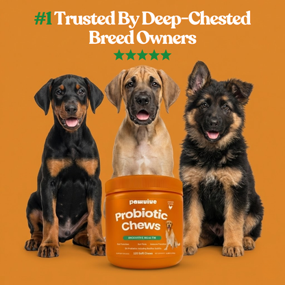Pawvive Bloat Defense Chews