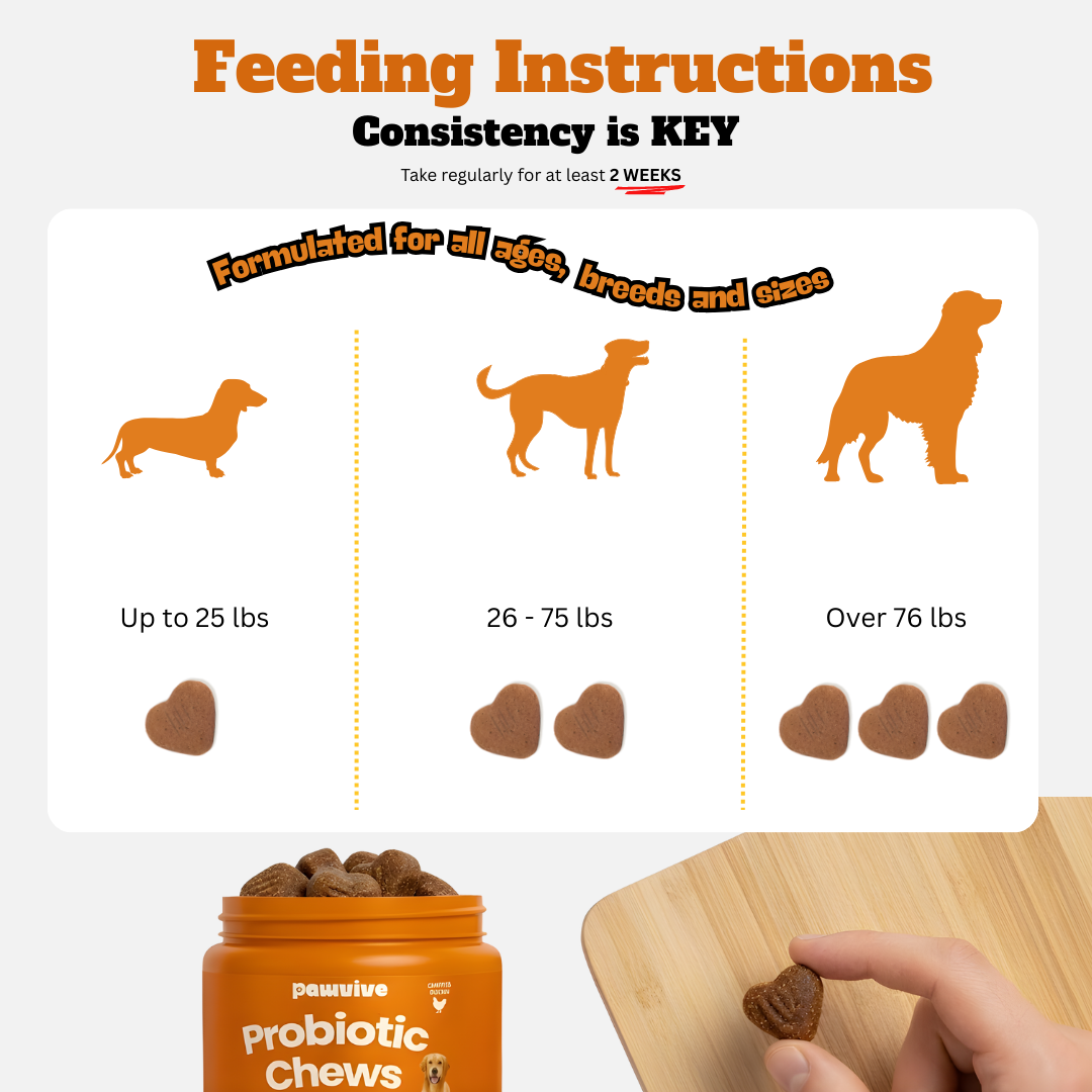 Probiotic Gut + Immunity Chewy Bites