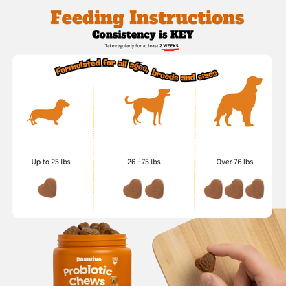 Probiotic Gut + Immunity Chewy Bites