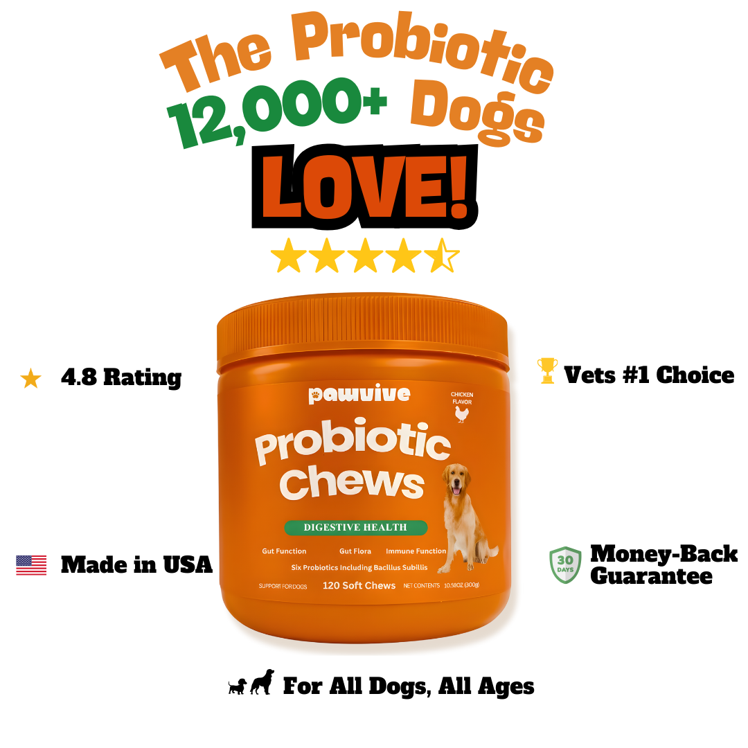 Probiotic Gut + Immunity Chewy Bites