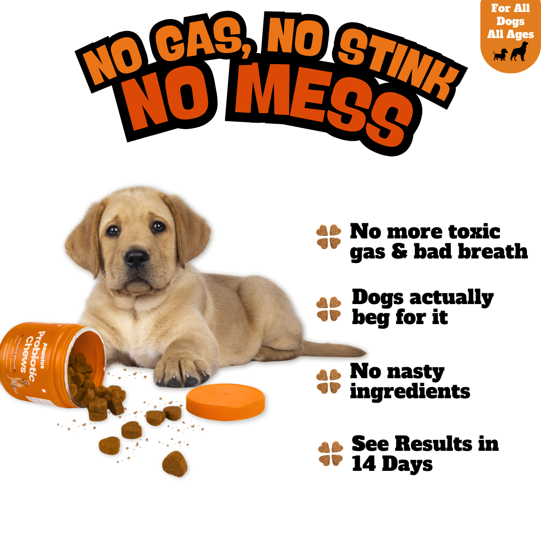 Probiotic Gut + Immunity Chewy Bites