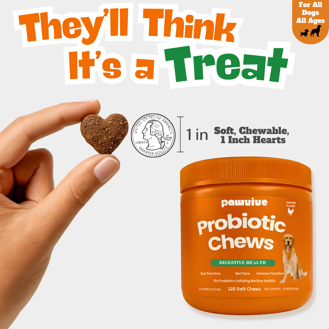 Probiotic Gut + Immunity Chewy Bites