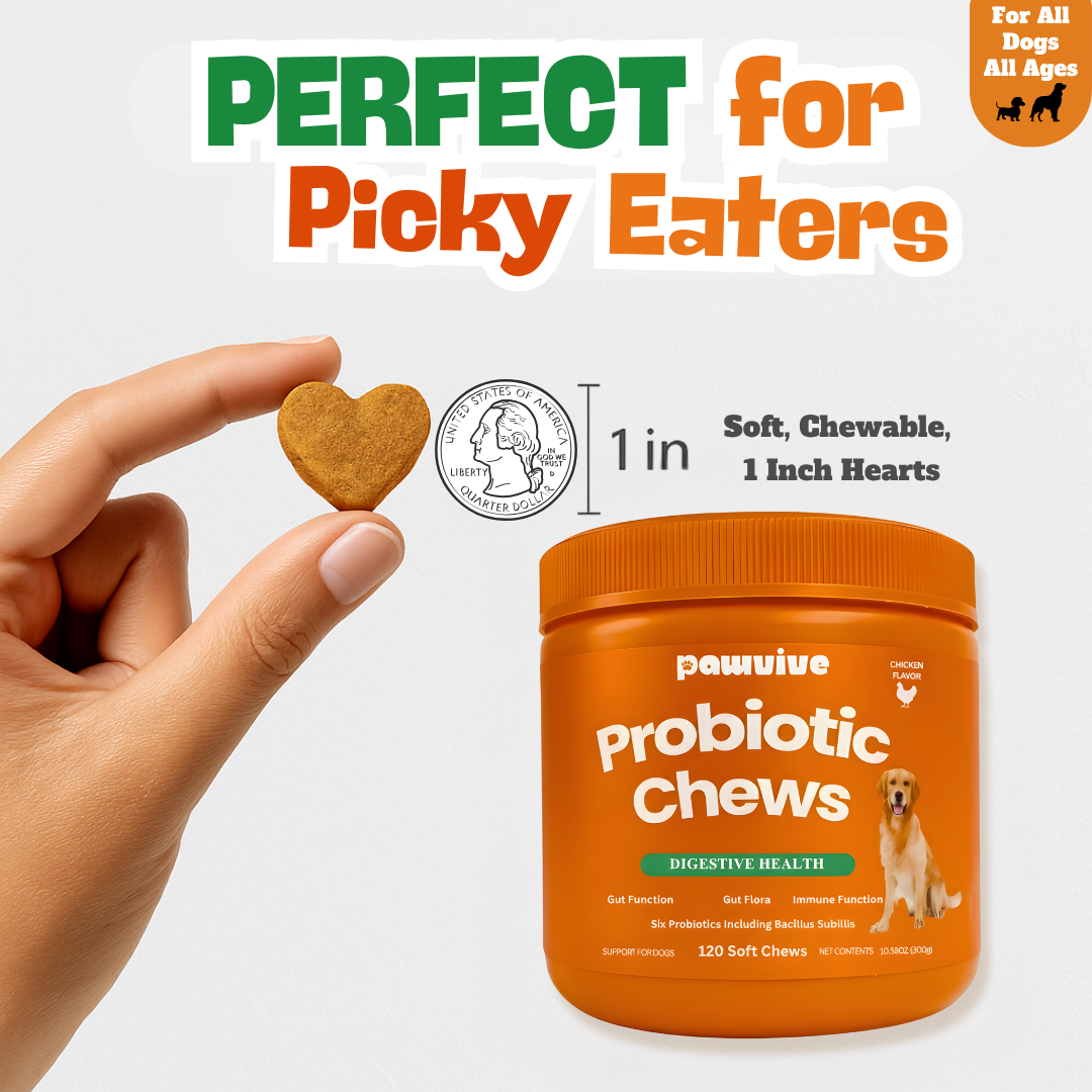 Probiotic Gut + Immunity Chewy Bites