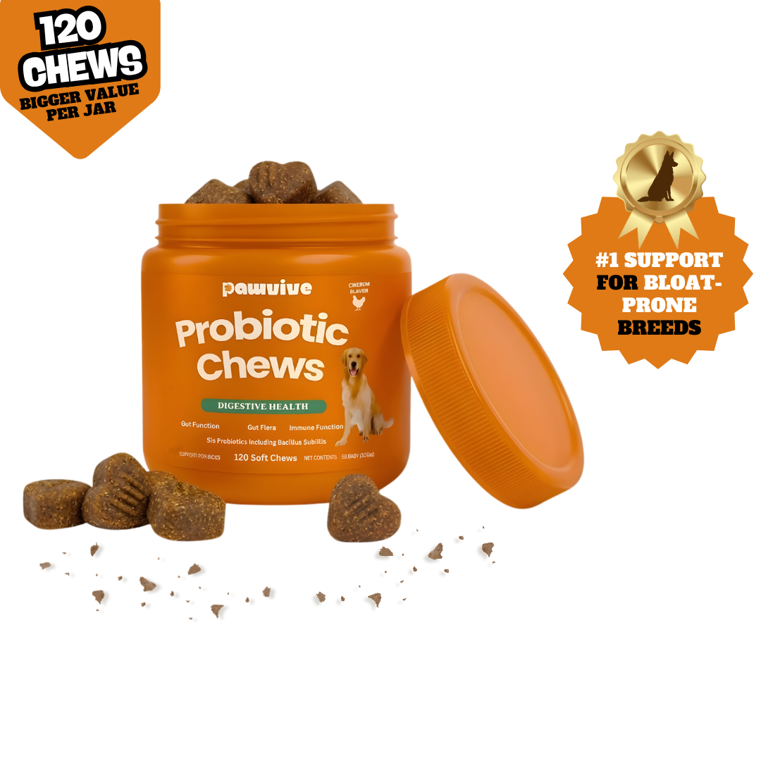 Probiotic + Digestive Enzyme Bloat Chews