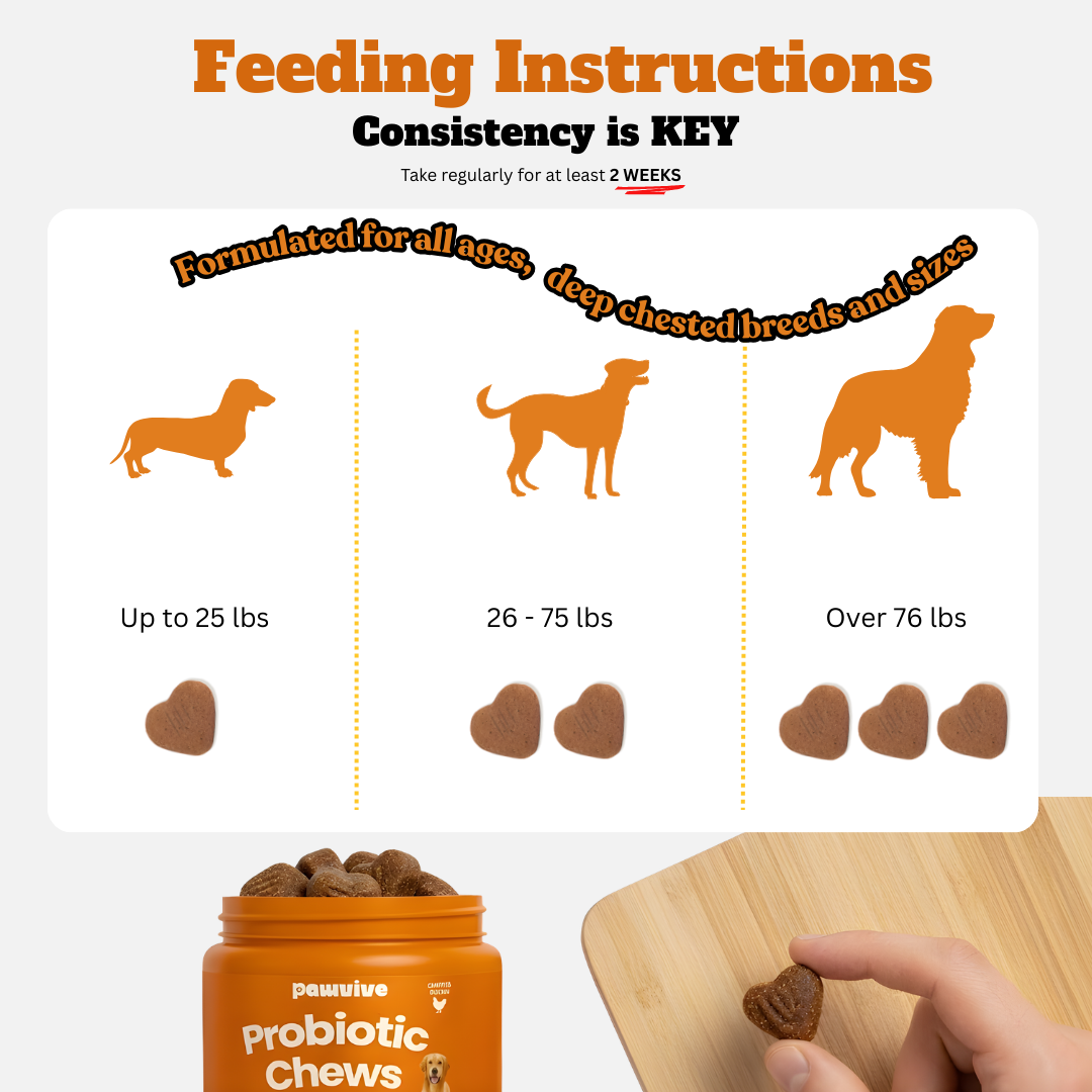 Probiotic + Digestive Enzyme Bloat Chews